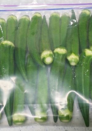 オクラの冷凍保存～生で冷凍する方法～-レシピのメイン写真