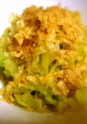おかかと醤油で♪スイカの漬け物-レシピのメイン写真