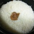 夏の梅干ご飯