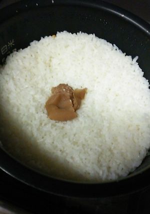 夏の梅干ご飯　-レシピのメイン写真