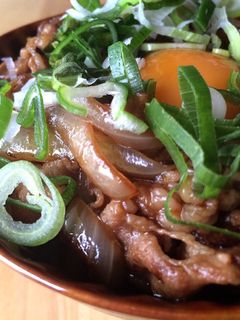 ネギだく豚丼-レシピのメイン写真