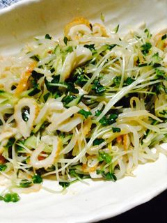 きゅうりともやしさっぱりわさび和え-レシピのメイン写真