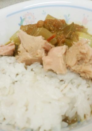 夏野菜のさっぱりカレー-レシピのメイン写真