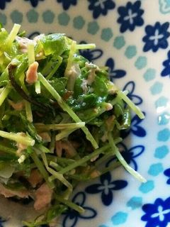 豆苗と塩昆布のマヨサラダ-レシピのメイン写真
