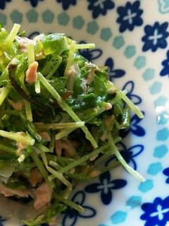 豆苗と塩昆布のマヨサラダ-レシピのメイン写真