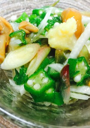 薬味が効いてる！ネバネバ野菜の麺つゆ和え-レシピのメイン写真