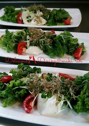 カリカリじゃこと豆腐のサラダ☆-レシピのメイン写真