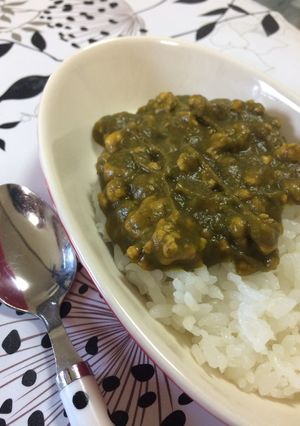 ヘルシーグリーンドライカレー-レシピのメイン写真