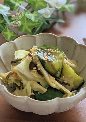 胡瓜とキャベツのやみつきサラダ-レシピのメイン写真