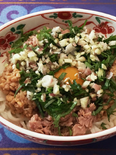 薬味たっぷり☆ぶっかけうどん-レシピのメイン写真