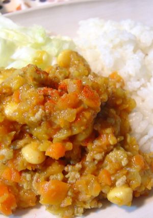 簡単さっぱりドライカレー-レシピのメイン写真
