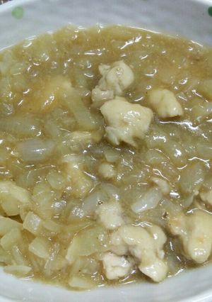 鳥オニオンのとろーり煮-レシピのメイン写真