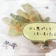 簡単! 夏☆毎日食べたい*ささげの天ぷら