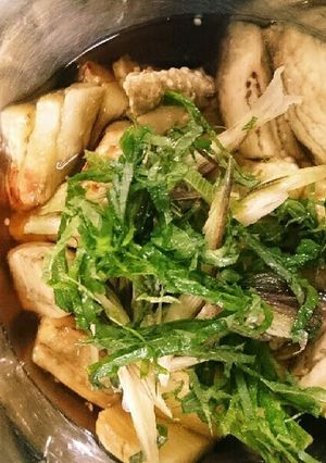 夏にサッパリ焼きナスの煮浸し？-レシピのメイン写真