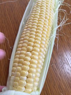 蒸しとうもろこし-レシピのメイン写真