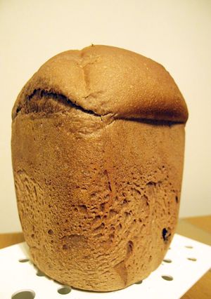 早焼きココアレーズンパン(HB使用)-レシピのメイン写真