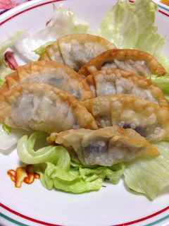 夏野菜のチーズ入り揚げ餃子-レシピのメイン写真