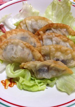 夏野菜のチーズ入り揚げ餃子-レシピのメイン写真
