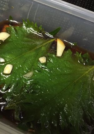 合法ハーブShiso-レシピのメイン写真