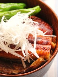 うなぎとナスのかば焼き丼-レシピのメイン写真