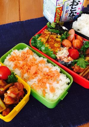 高校生男子のお弁当8日目-レシピのメイン写真