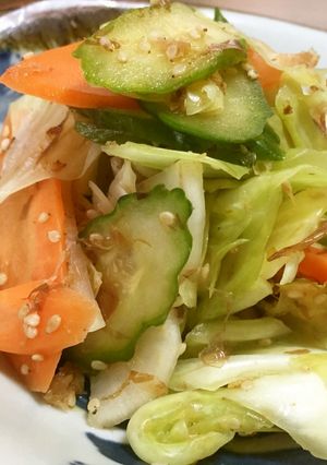 野菜のたっぷり浅漬け 夏のあれ始めました-レシピのメイン写真