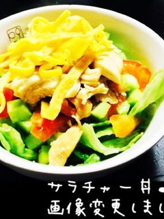 ササミと野菜のサラチャー丼-レシピのメイン写真