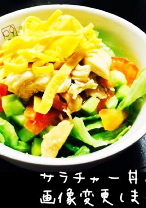 ササミと野菜のサラチャー丼-レシピのメイン写真