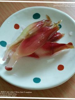 ミョウガのピクルス-レシピのメイン写真