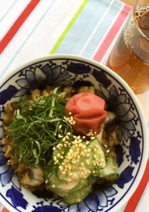 うなぎ冷製茶漬け-レシピのメイン写真