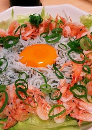 釜揚げシラス&釜揚げ桜エビ丼-レシピのメイン写真