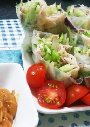 夏野菜で…爽やか★生春巻き-レシピのメイン写真