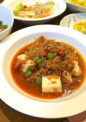 野菜たっぷり麻婆豆腐-レシピのメイン写真