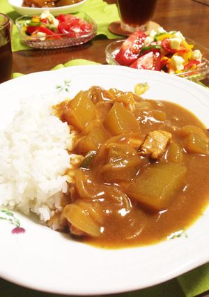 旬の冬瓜でさっぱりカレー-レシピのメイン写真