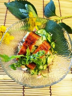 土用丑の日★鰻蒲焼き★うざく♪-レシピのメイン写真