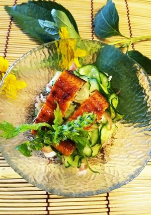 土用丑の日★鰻蒲焼き★うざく♪-レシピのメイン写真