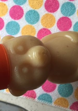 塩レモンと新生姜のピューレ-レシピのメイン写真