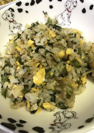 野沢菜ちりめん炒飯-レシピのメイン写真