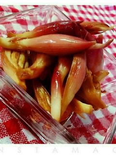 みょうがの甘酢醤油漬け-レシピのメイン写真