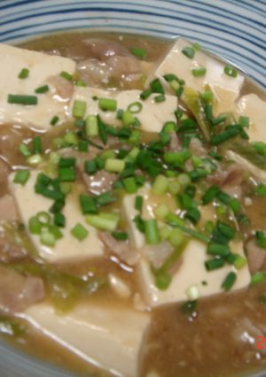 豆腐の豚ネギあんかけ-レシピのメイン写真