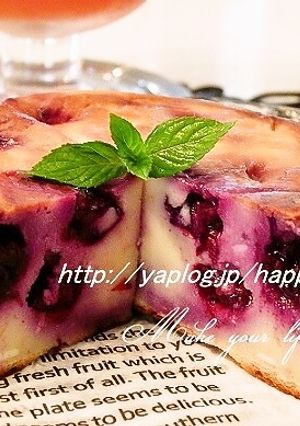 ブルーベリー☆チーズケーキ-レシピのメイン写真