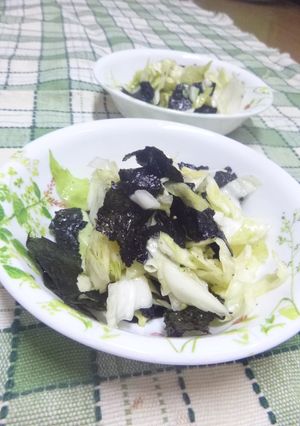 キャベツと海苔の和風サラダ-レシピのメイン写真