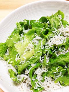 しらすとレタスの胡麻油ドレッシングサラダ-レシピのメイン写真