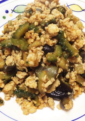 ゴーヤin麻婆茄子-レシピのメイン写真