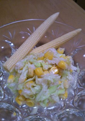 あえるだけ♪簡単サラダ-レシピのメイン写真