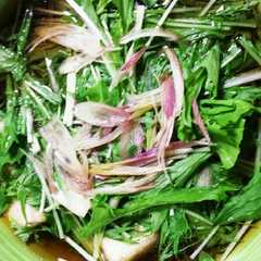 รูปของ 水菜もたっぷり♪揚げ出しナス豆腐