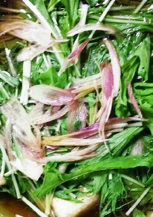 水菜もたっぷり♪揚げ出しナス豆腐-レシピのメイン写真