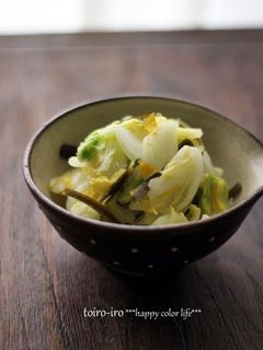 ご飯のお供に♪白菜の浅漬け-レシピのメイン写真