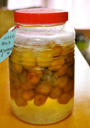 伝統◎梅農家の梅シロップ-レシピのメイン写真