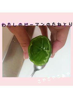 わたしのピーマンの種取り法-レシピのメイン写真